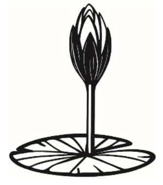 শাপলা কলি symbol