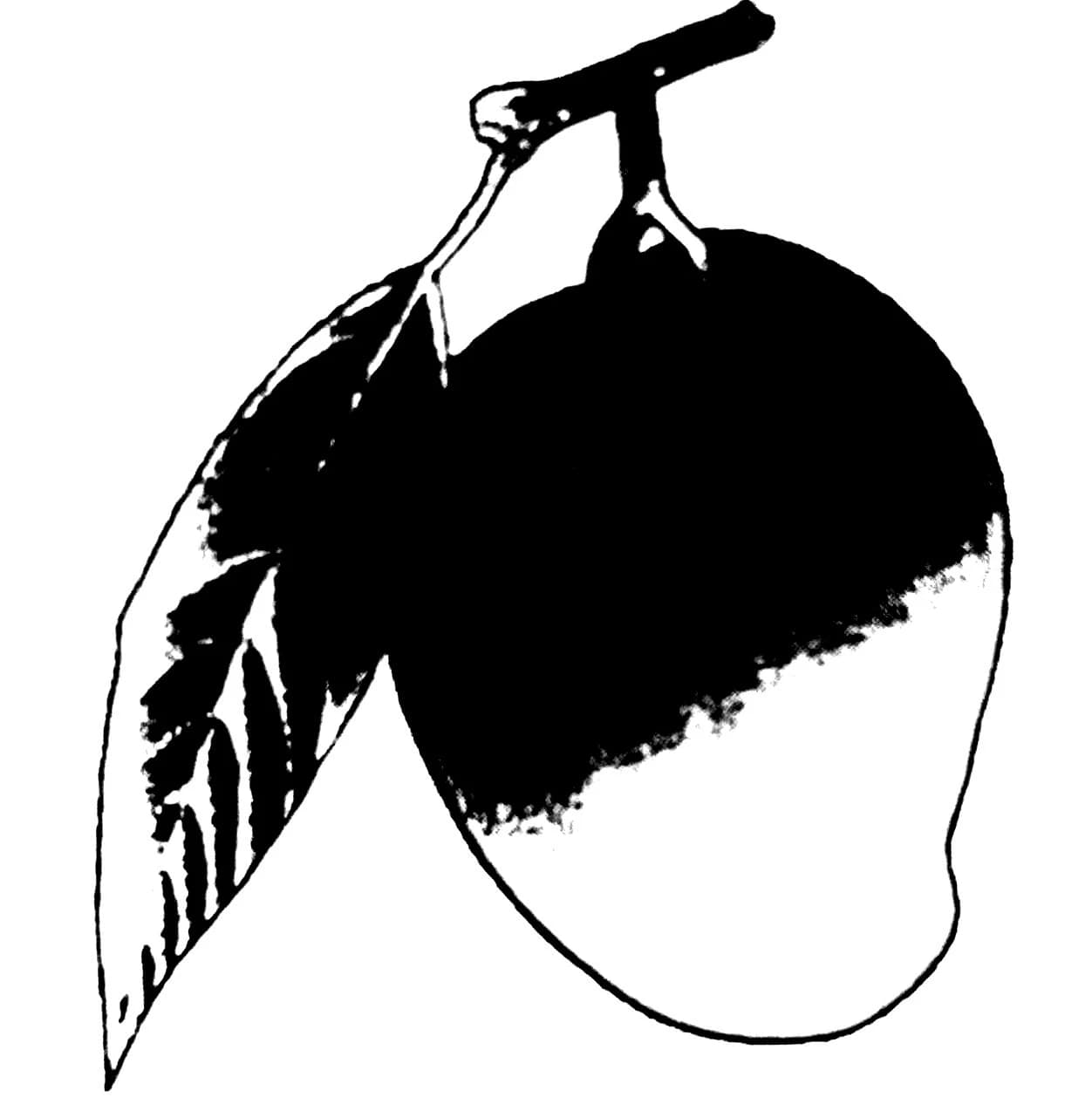 আম symbol